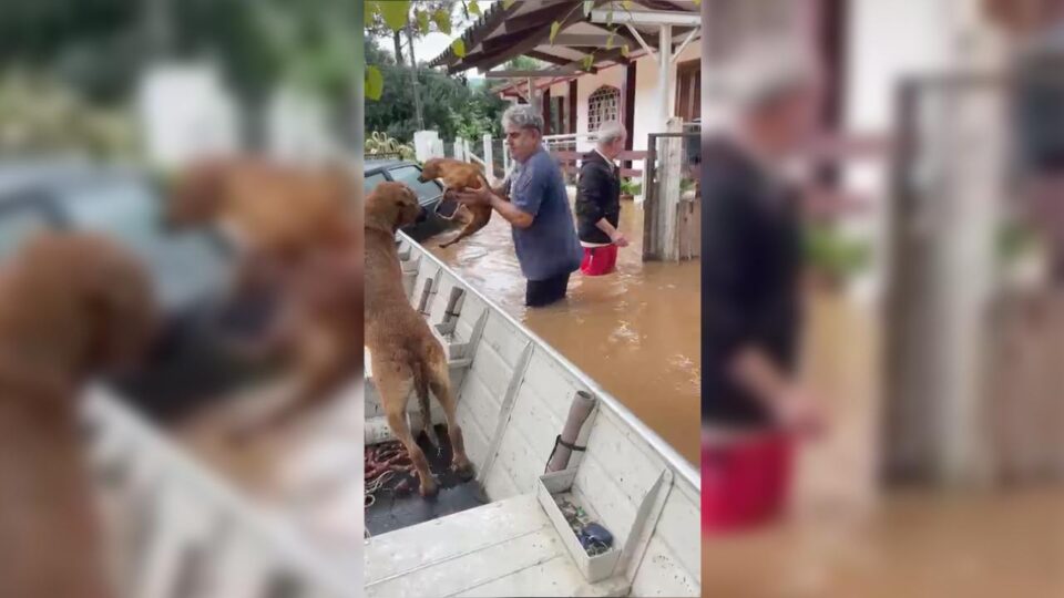 Junto a outros voluntários, eles resgatam pessoas e animais de estimação das enchentes em Novo Hamburgo (Foto: arquivo pessoal) 